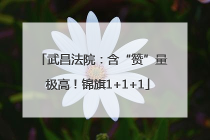 武昌法院：含“赞”量极高！锦旗1+1+1