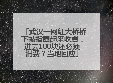 武汉一网红大桥桥下被指圈起来收费，进去100块还必须消费？当地回应