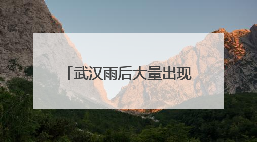 武汉雨后大量出现，非常罕见！不是蘑菇，不要随便吃
