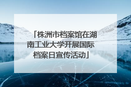 株洲市档案馆在湖南工业大学开展国际档案日宣传活动