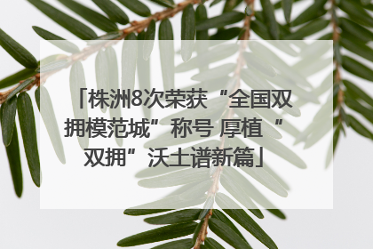 株洲8次荣获“全国双拥模范城”称号 厚植“双拥”沃土谱新篇