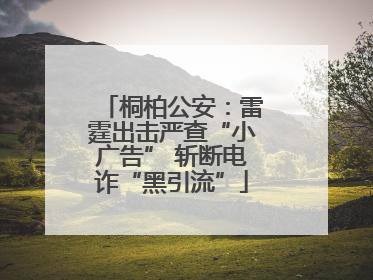 桐柏公安：雷霆出击严查“小广告” 斩断电诈“黑引流”