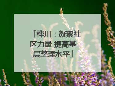 桦川：凝聚社区力量 提高基层整理水平