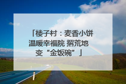 楼子村：麦香小饼温暖幸福院 撂荒地变“金饭碗”