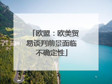 欧盟：欧美贸易谈判前景面临不确定性