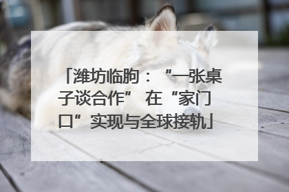 潍坊临朐：“一张桌子谈合作” 在“家门口”实现与全球接轨