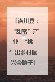 潢川县：“甜蜜”产业  “桃”出乡村振兴金路子