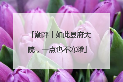 潮评丨如此县府大院，一点也不寒碜