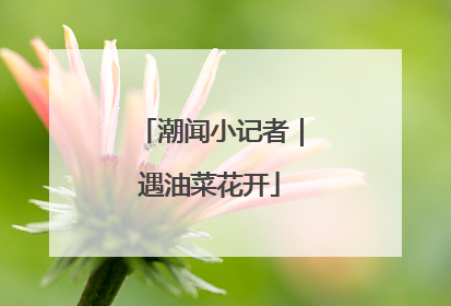 潮闻小记者｜遇油菜花开