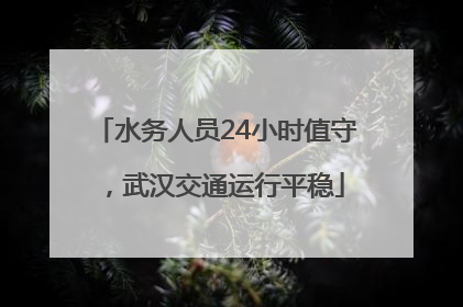 水务人员24小时值守，武汉交通运行平稳