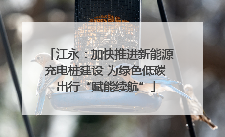 江永：加快推进新能源充电桩建设 为绿色低碳出行“赋能续航”