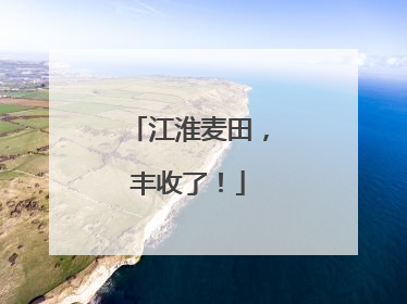 江淮麦田，丰收了！