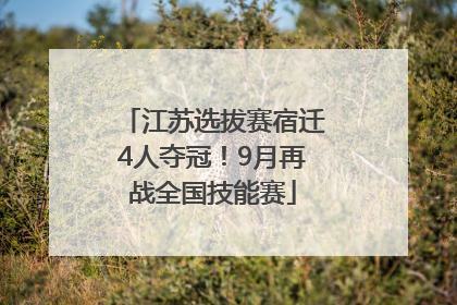 江苏选拔赛宿迁4人夺冠！9月再战全国技能赛