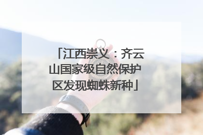江西崇义：齐云山国家级自然保护区发现蜘蛛新种