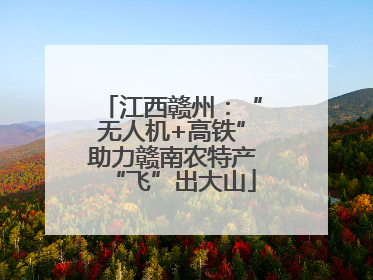 江西赣州：“无人机+高铁”助力赣南农特产“飞”出大山