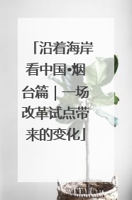 沿着海岸看中国•烟台篇｜一场改革试点带来的变化