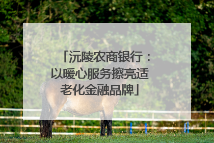 沅陵农商银行：以暖心服务擦亮适老化金融品牌