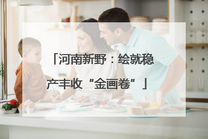河南新野：绘就稳产丰收“金画卷”