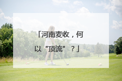 河南麦收，何以“顶流”？