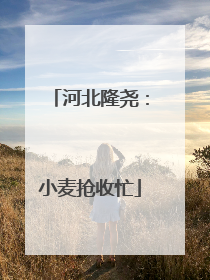 河北隆尧：小麦抢收忙