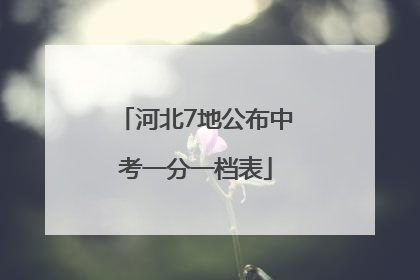河北7地公布中考一分一档表