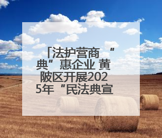 法护营商 “典”惠企业 黄陂区开展2025年“民法典宣传月”活动