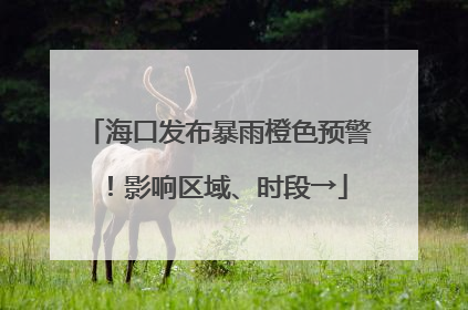 海口发布暴雨橙色预警！影响区域、时段→