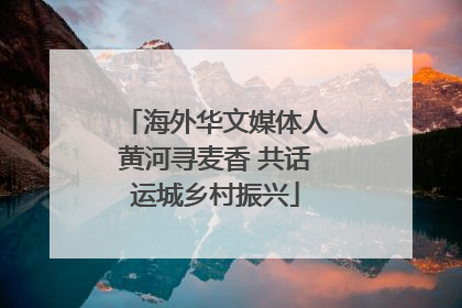 海外华文媒体人黄河寻麦香 共话运城乡村振兴