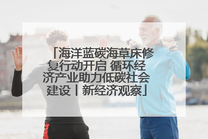 海洋蓝碳海草床修复行动开启 循环经济产业助力低碳社会建设丨新经济观察