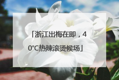 浙江出梅在即，40℃热辣滚烫候场