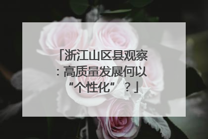 浙江山区县观察：高质量发展何以“个性化”？