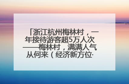 浙江杭州梅林村，一年接待游客超5万人次——梅林村，满满人气从何来（经济新方位·农村消费观察）