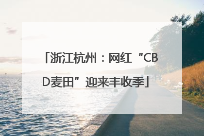 浙江杭州：网红“CBD麦田”迎来丰收季