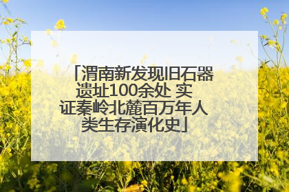 渭南新发现旧石器遗址100余处 实证秦岭北麓百万年人类生存演化史