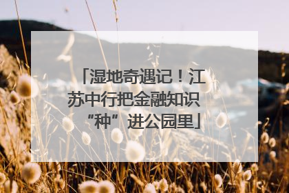 湿地奇遇记！江苏中行把金融知识“种”进公园里