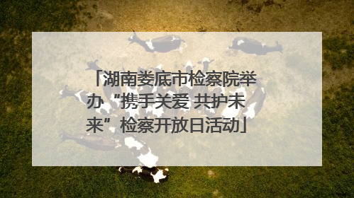 湖南娄底市检察院举办“携手关爱 共护未来”检察开放日活动