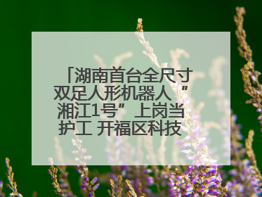 湖南首台全尺寸双足人形机器人“湘江1号”上岗当护工 开福区科技活动周十大科创项目签约
