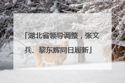 湖北省领导调整，张文兵、黎东辉同日履新