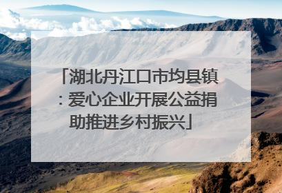 湖北丹江口市均县镇：爱心企业开展公益捐助推进乡村振兴