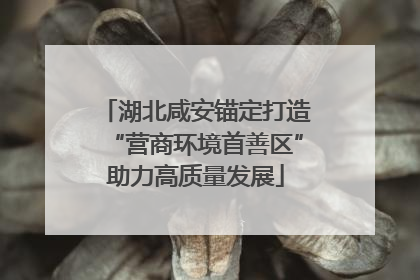 湖北咸安锚定打造“营商环境首善区”助力高质量发展