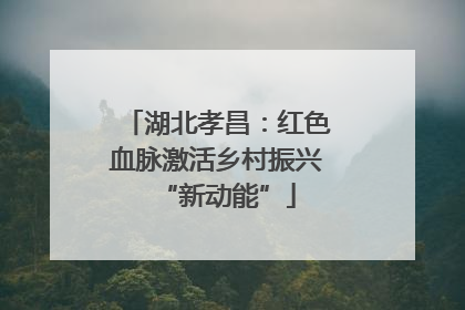 湖北孝昌：红色血脉激活乡村振兴“新动能”
