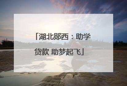 湖北郧西：助学贷款 助梦起飞
