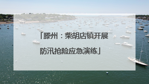 滕州：柴胡店镇开展防汛抢险应急演练