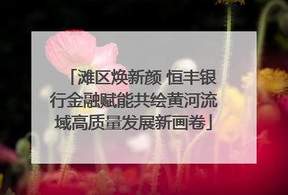 滩区焕新颜 恒丰银行金融赋能共绘黄河流域高质量发展新画卷