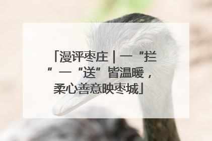 漫评枣庄｜一“拦”一“送”皆温暖，柔心善意映枣城