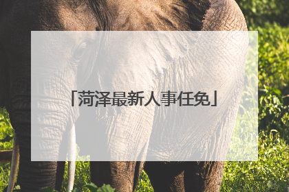 菏泽最新人事任免