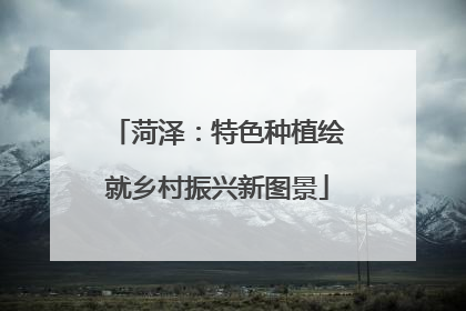 菏泽：特色种植绘就乡村振兴新图景