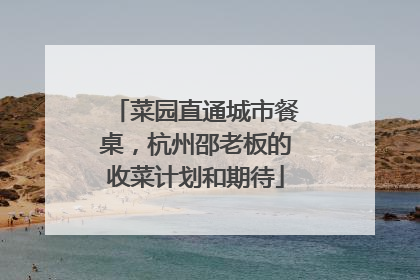 菜园直通城市餐桌，杭州邵老板的收菜计划和期待