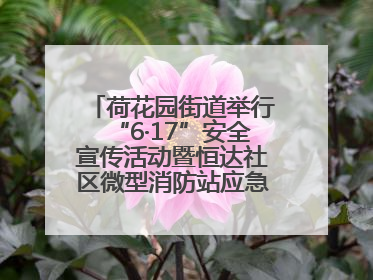 荷花园街道举行“6·17”安全宣传活动暨恒达社区微型消防站应急小分队启动式