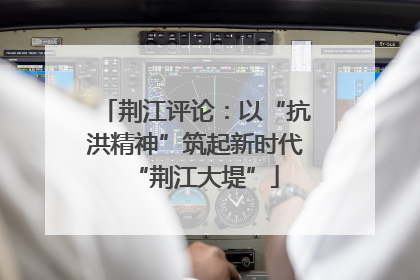 荆江评论：以“抗洪精神”筑起新时代“荆江大堤”